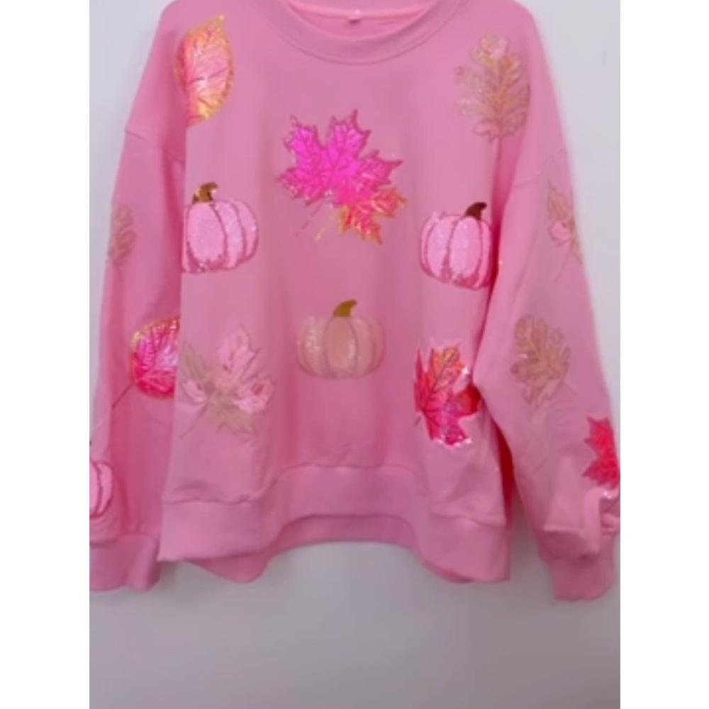 Pink Fall Sweatshirt - Picture 3 of 3
